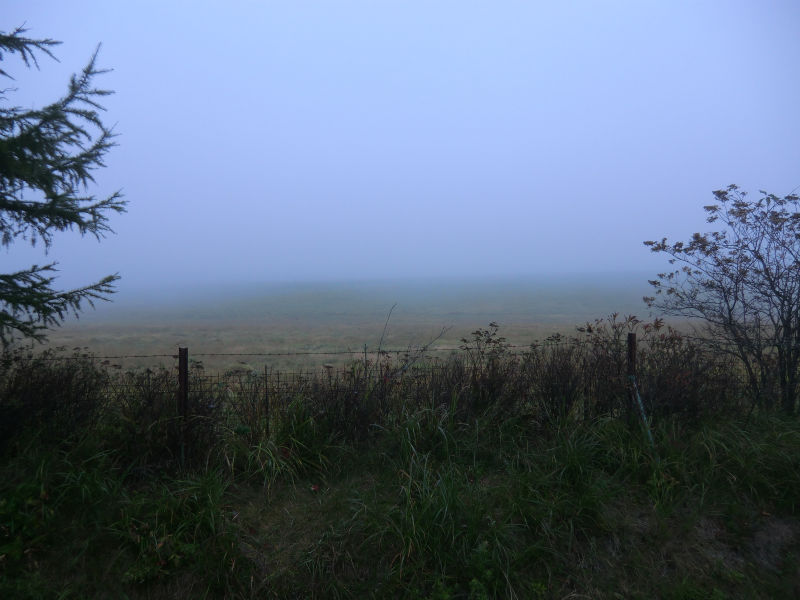 朝霧の中のホームストレート付近
